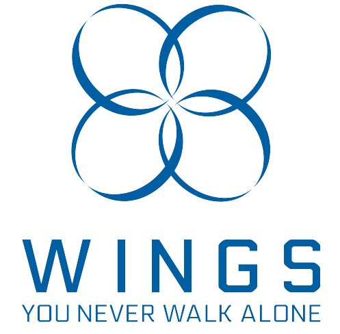BTS 2017 wings unofficial logo